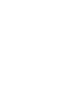 Dragon Warrior